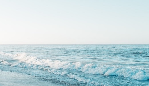 ゴキブリの侵入経路、水回りの「配管隙間」を徹底封鎖！今すぐできる対策とは？