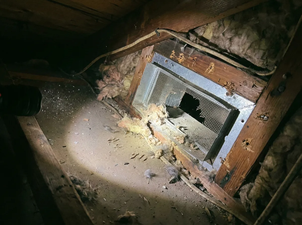 プロフィール背景画像