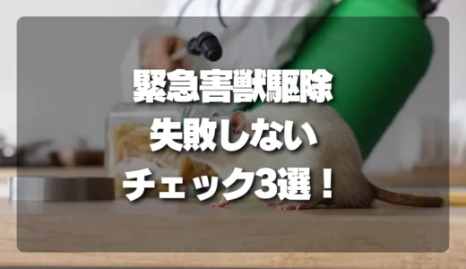【夜間対応のプロが解説】緊急時の「害獣駆除」依頼で失敗しないためのチェックポイント3選