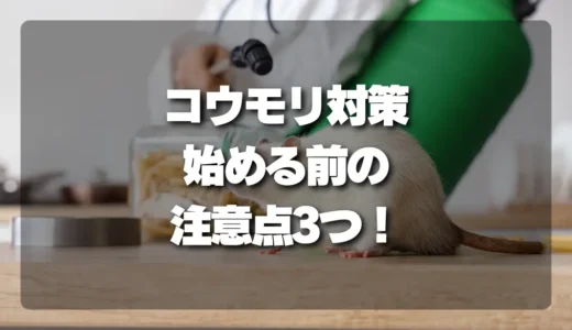 触るな危険！コウモリ対策を始める前に知っておくべき3つの注意点と専門家が推奨する安全な駆除方法