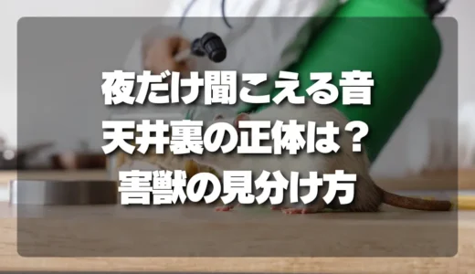 【恐怖】天井裏で「夜だけ」聞こえる音の正体は？プロが教える害獣の見分け方と今すぐ確認すべき場所