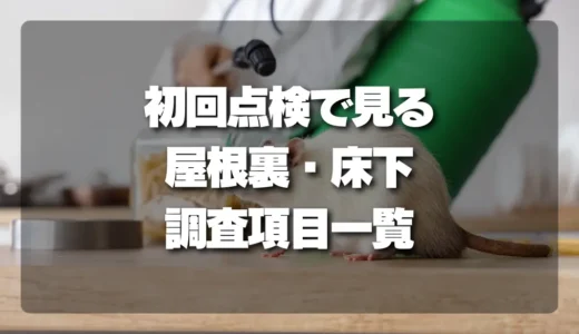 【チェックリスト】初回点検で必ず見る！屋根裏・床下・外周の害獣調査項目