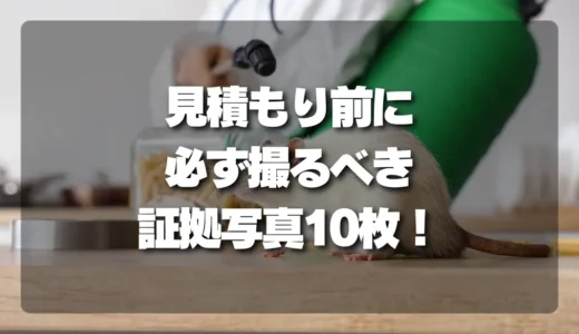 【完全版】失敗しない害獣駆除！見積もり前に必ず撮るべき「証拠写真10枚」チェックリスト