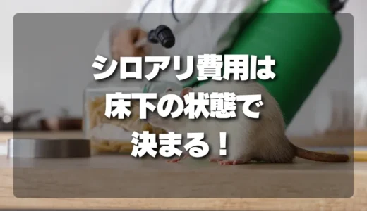 シロアリ駆除の費用はこれで決まる！あなたの家の「床下の状態」で変わる金額を徹底解説