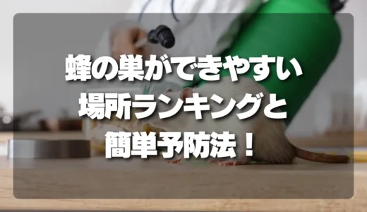 【危険】蜂の巣が作られやすい場所ランキングと、軒下・換気フードの簡単予防法