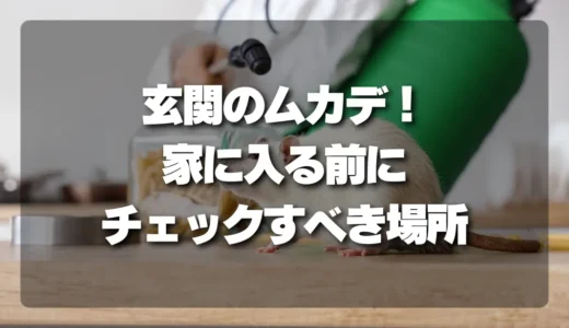【恐怖】玄関のムカデ！プロが教える「家に入る前にチェックすべき場所」