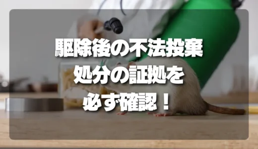 【衝撃の事実】駆除後の不法投棄が発覚！優良業者が必ず教える「処分の証拠」確認リスト