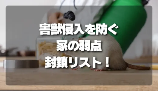 【徹底解説】プロが教える！害獣侵入を防ぐ「家の弱点」封鎖チェックリスト