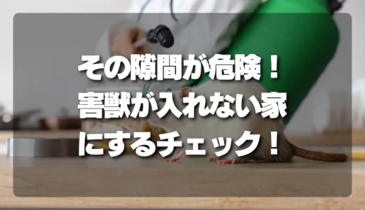 【危険】その隙間から侵入される！プロが教える「害獣が絶対に入れない家」にするためのチェックリスト