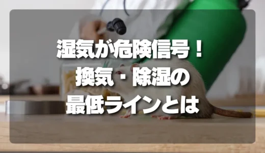 【危険信号】湿気で害虫パラダイスに！プロが教える換気・除湿の「最低ライン」