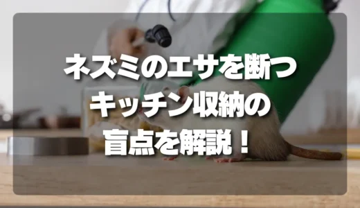 【盲点】ネズミが家にいる！キッチン収納の「見落としがちなエサ」を断つ最強対策とは？