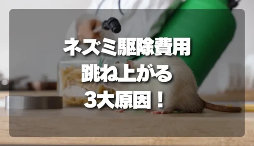 【衝撃】ネズミ駆除で費用が跳ね上がる3大原因！回数・封鎖・清掃で変わる「本当の料金」
