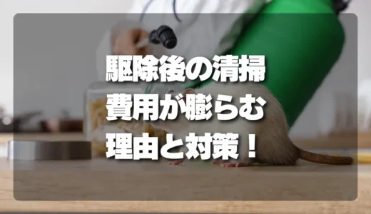 【徹底解説】駆除後の清掃・消臭はどこまで必要？プロが教える「費用が膨らむ理由」と対策
