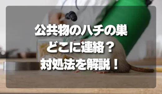 公共物のハチの巣、どうする？連絡先と対処法を徹底解説！