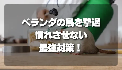 ベランダの鳥を撃退！「慣れさせない」最強の対策｜何を置いて、何を取り除くべきか？