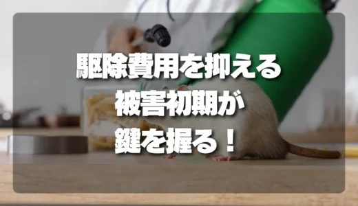駆除費用が劇的に変わる！「被害初期」が鍵を握る害虫対策の秘訣