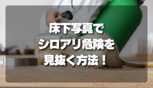 シロアリ点検のプロが教える！床下写真で危険な兆候を見抜く質問リストとチェックポイント