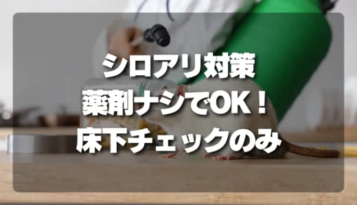 シロアリ対策は薬剤ナシでOK！床下の水漏れ・換気不足をチェックするだけ