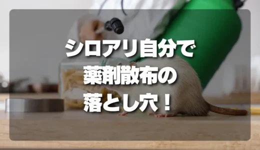 【危険？】シロアリ駆除の薬剤散布を自分でやる落とし穴！プロが解説する床下作業の難しさ