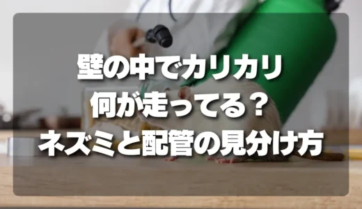 壁の中で「カリカリ」何が走ってる？ネズミと配管を見分ける決定的な3つのチェックリスト