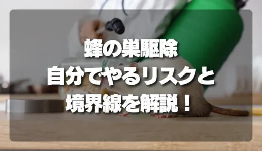 蜂の巣駆除はプロに任せるべき？自分でやる境界線とリスクを徹底解説！