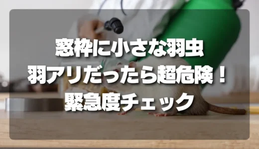 窓枠に小さな羽虫を発見！「羽アリ」だったら超危険！緊急度を判断するチェックリスト