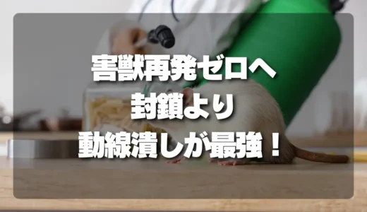 天井裏の害獣再発をゼロに！プロが教える「封鎖より動線潰し」の最強戦略