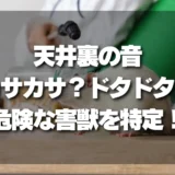 その音、何のサイン？ 天井裏の「カサカサ」「ドタドタ」音でわかる！ 危険な害獣別・特徴と対策を徹底解説