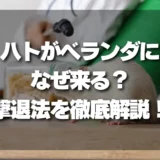 【決定版】ベランダのハト対策！なぜ来る？今すぐできる寄り付き防止の環境づくりと撃退法