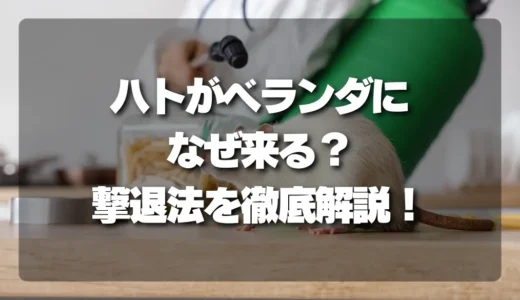 【決定版】ベランダのハト対策！なぜ来る？今すぐできる寄り付き防止の環境づくりと撃退法
