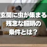 その照明が原因かも！玄関に虫が集まる家が必ずやっている「残念な照明の条件」とは？