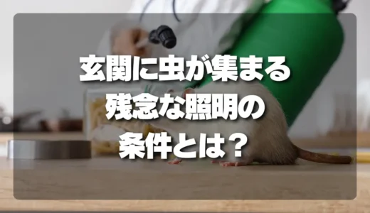 その照明が原因かも！玄関に虫が集まる家が必ずやっている「残念な照明の条件」とは？