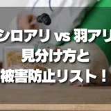 【決定版】シロアリと羽アリの見分け方！発生時期と被害を食い止めるチェックリスト