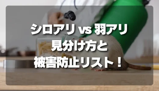 【決定版】シロアリと羽アリの見分け方！発生時期と被害を食い止めるチェックリスト