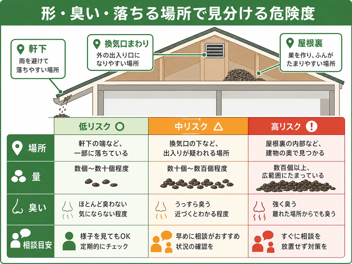 コウモリのフンの場所・量・臭い・相談目安を示す危険度表