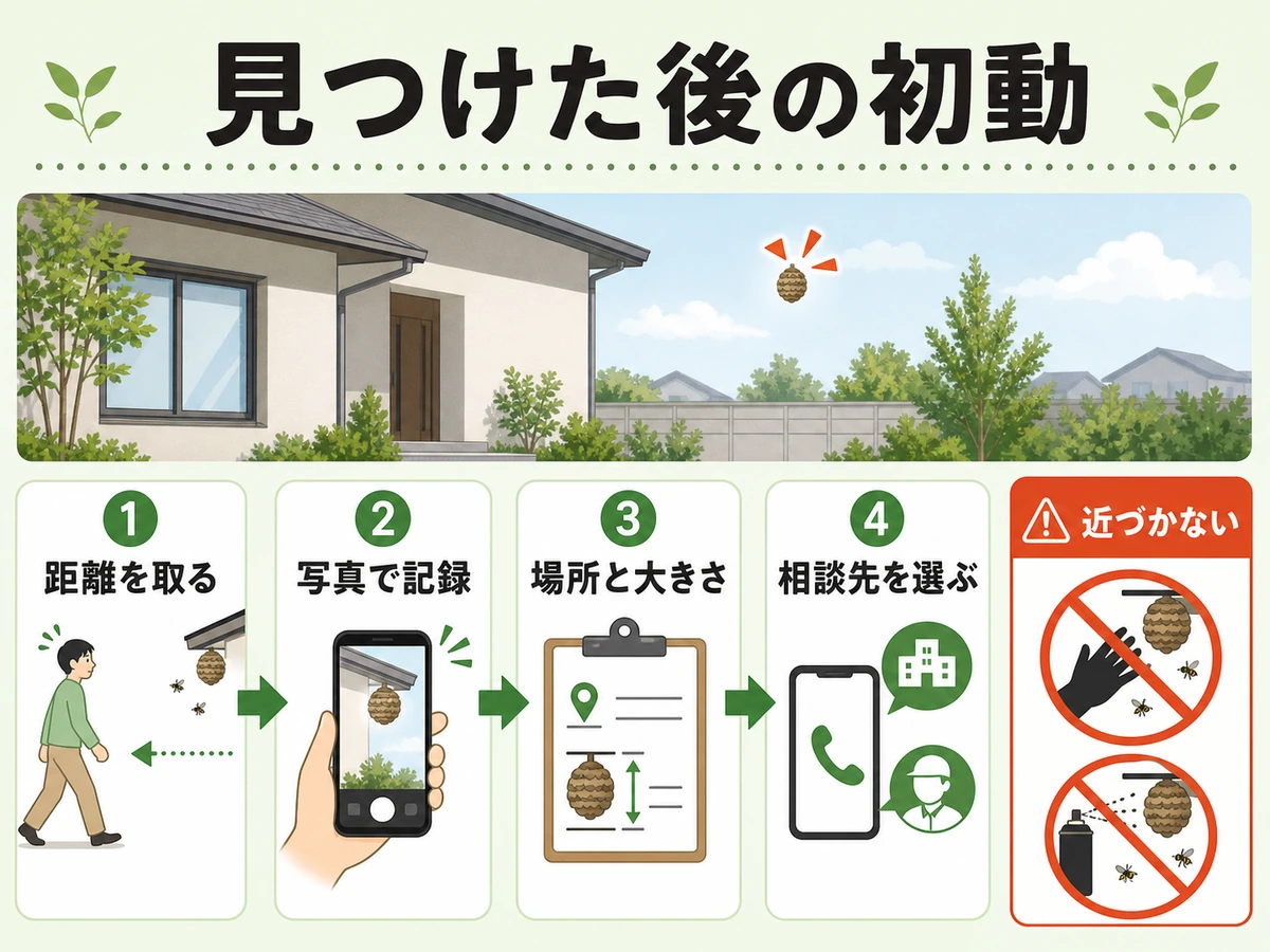 蜂の巣を見つけた後に距離を取り写真と場所を記録して相談する流れ