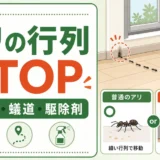 家の中のアリの行列を止めるには？蟻道の見分け方と市販駆除剤の使い方
