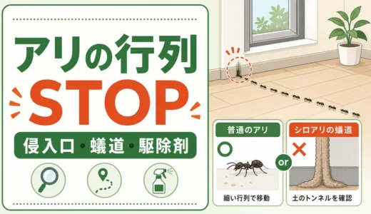 家の中のアリの行列を止めるには？蟻道の見分け方と市販駆除剤の使い方