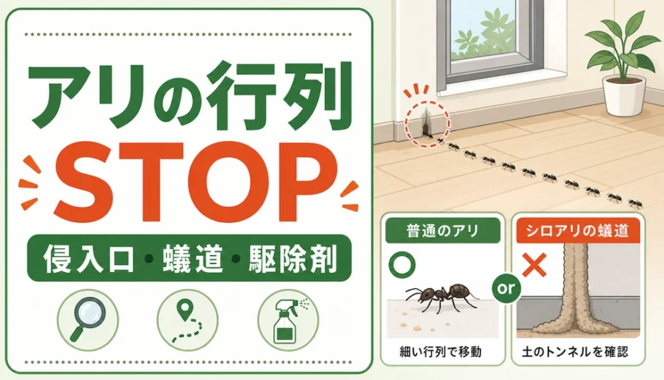 家の中のアリの行列を止める確認ポイントのサムネイル
