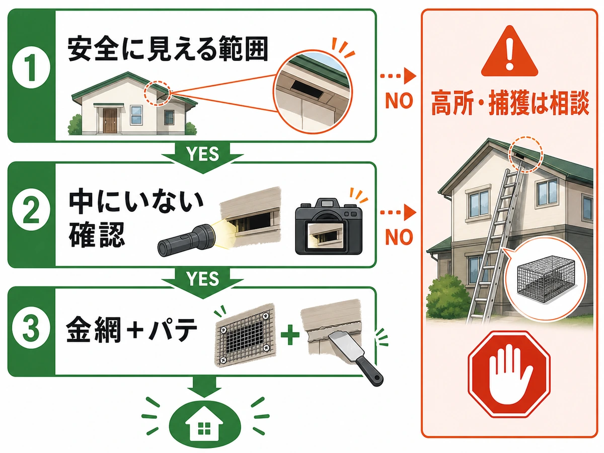 害獣の侵入口を封鎖する前に見る安全確認フロー