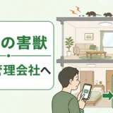 賃貸で害獣を見つけたら管理会社へ連絡する流れ