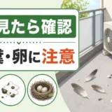 ベランダの鳥の羽と巣・糞・卵の注意点を示すサムネイル