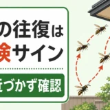 蜂が同じ場所を往復する危険サインと近づかず確認する注意点