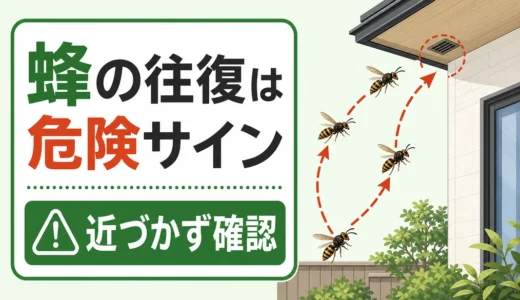 蜂が同じ場所を往復するのは巣のサイン？危険度と安全な確認方法