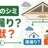 天井のシミと獣臭が雨漏りか害獣かを確認するイメージ
