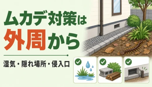 ムカデ対策は家の外から｜侵入を減らす庭・外周の確認順