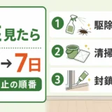 ゴキブリを1匹見た後の当日から7日目までの再発防止手順