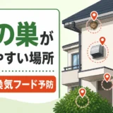 蜂の巣ができやすい場所と軒下・換気フード予防を示す図解