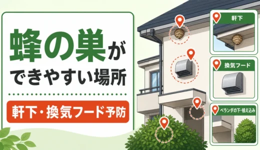 蜂の巣ができやすい場所と軒下・換気フード予防を示す図解