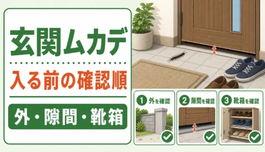 玄関にムカデが出たら？家に入る前の確認順と予防策